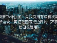 菠萝TV像拼图：先找引用有没有被截断这块，再把范围写成边界句（不费劲但很管用）